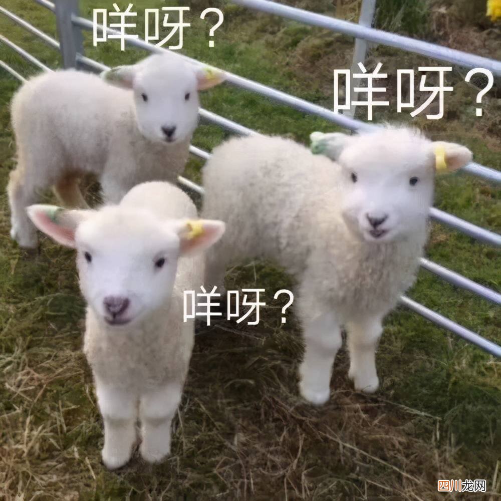 补妆是什么意思 补是什么意思
