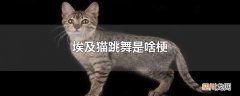埃及猫跳舞是啥梗