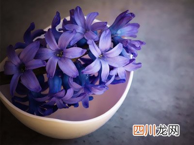 好看的小说：伪骨科犯罪悬疑、天花板娱乐圈文、福利婚恋文