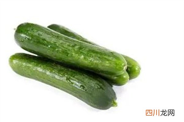 水果黄瓜怎么洗才干净 水果黄瓜可以放冰箱冷藏吗