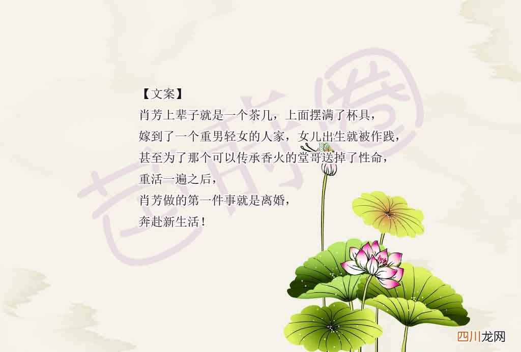 重生言情小说推荐第13期：5本年代文和古代言情小说
