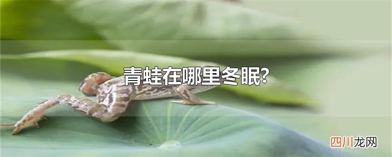 青蛙在哪里冬眠?