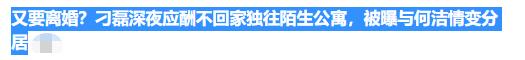 何洁现任丈夫 何洁老公是谁