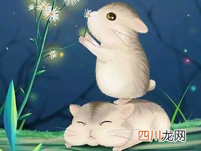 与萌宠有关的言情推荐又来啦！喵星人、汪星人、青蛙、神兽、狼王等