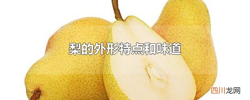 梨的外形特点和味道