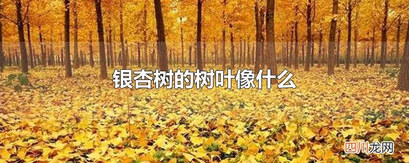 银杏树的树叶像什么