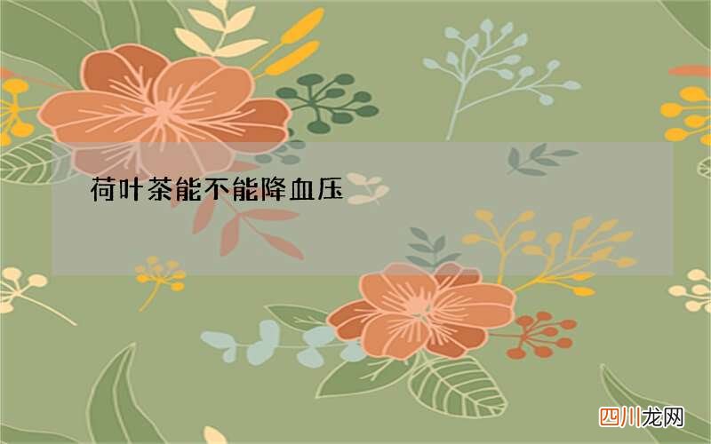 荷叶茶能不能降血压