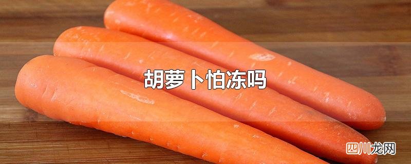 胡萝卜怕冻吗