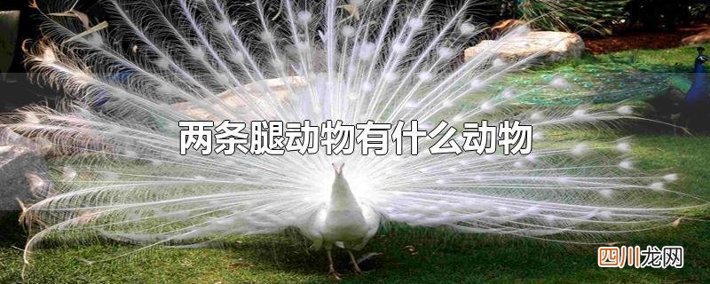 两条腿动物有什么动物