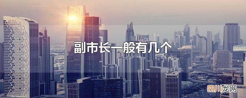 副市长一般有几个