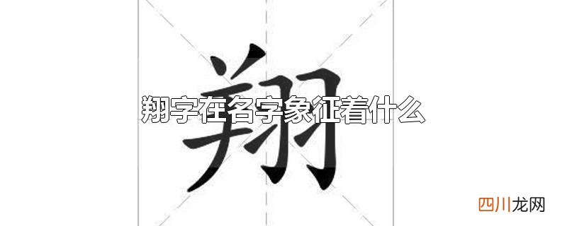 翔字在名字象征着什么