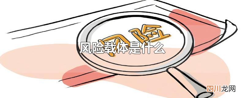 风险载体是什么