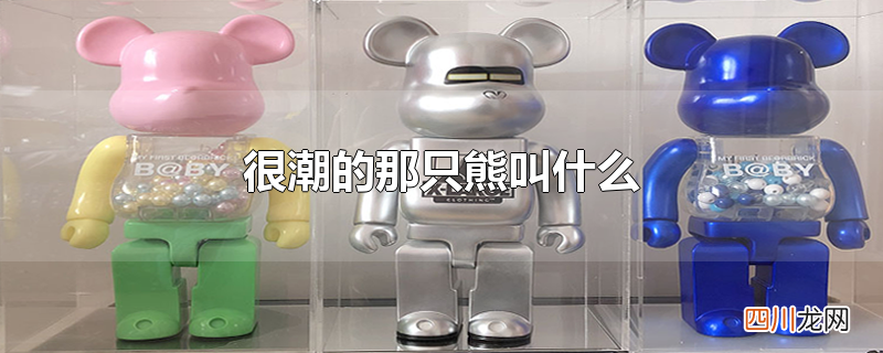 很潮的那只熊叫什么