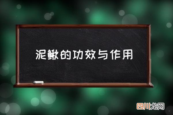 泥鳅的功效与作用 泥鳅算鱼吗？