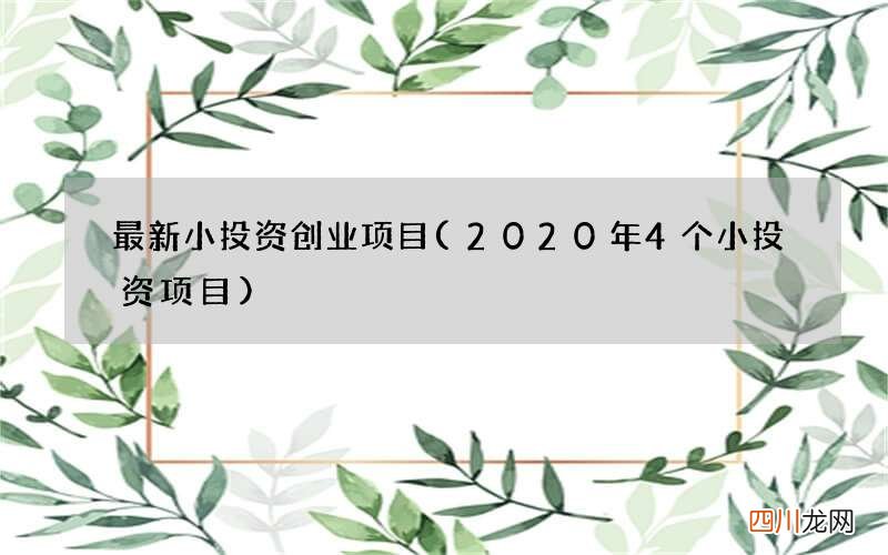 2020年4个小投资项目 最新小投资创业项目