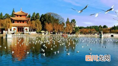2022元旦可以去昆明吗