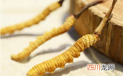 虫草一斤大概多少根
