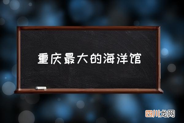 重庆最大的海洋馆 重庆哪个海洋馆最好玩？