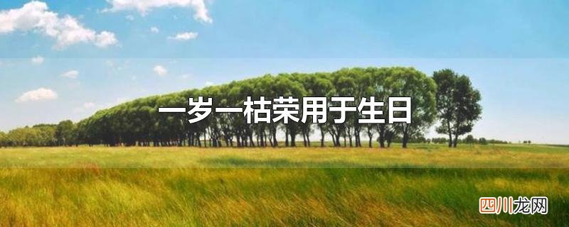 一岁一枯荣用于生日
