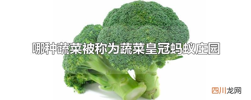 哪种蔬菜被称为蔬菜皇冠蚂蚁庄园