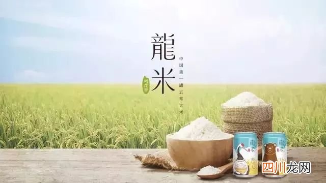 好乐买鞋城官方网站 乐淘鞋店鞋子折扣店
