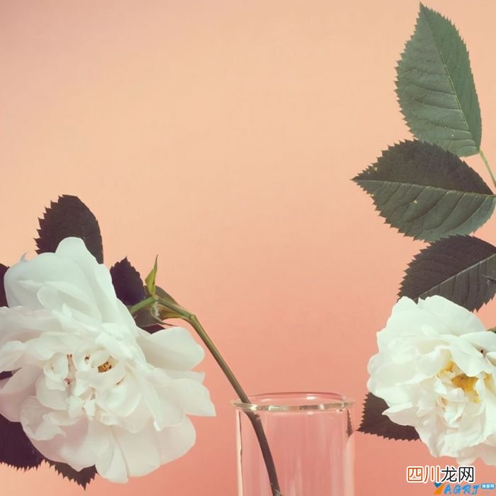 男人动了情的四种表现 男人动感情的表现