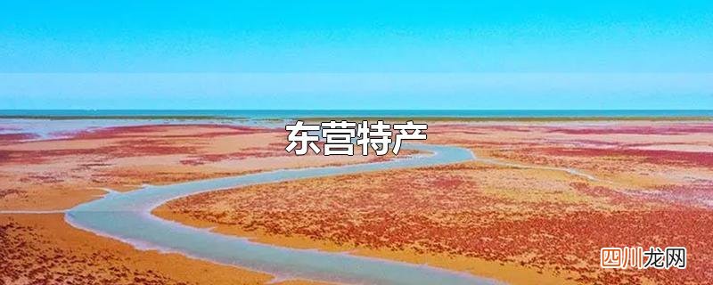 东营特产