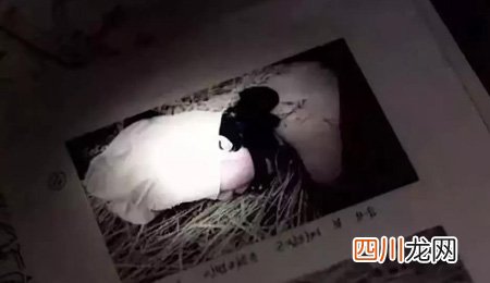 中国的四大悬案 中国十大悬案百度百科