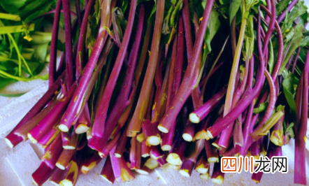 红菜苔的叶子和花要去掉吗