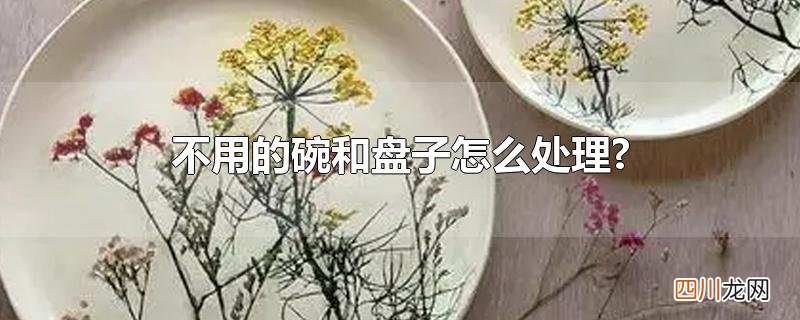 不用的碗和盘子怎么处理?