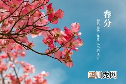 春分的日子好吗 春分什么性格好