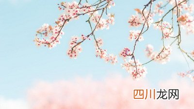 今年春分是几月几日几时几分几秒 今年春分是什么时间,几点几分