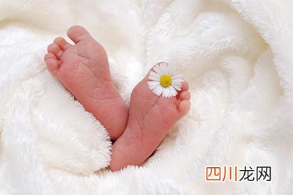 2022年1月31日除夕夜出生的孩子是属什么星座？有什么性格特点？