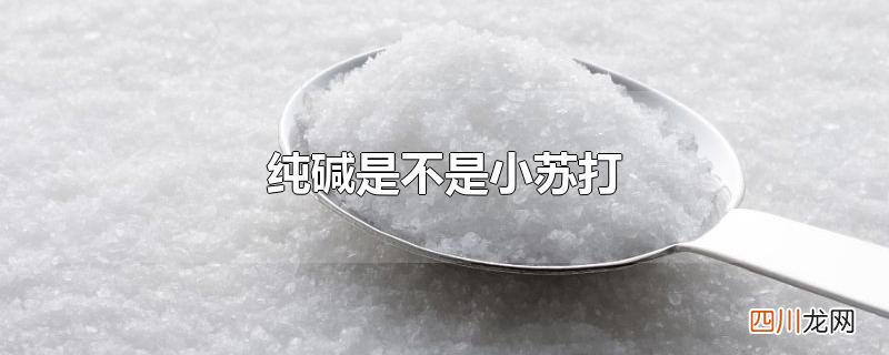 纯碱是不是小苏打