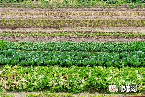uc下一页:北京市进一步健全社会救助和保障标准与物价上涨挂钩联动机制！官方最新通知来了！
