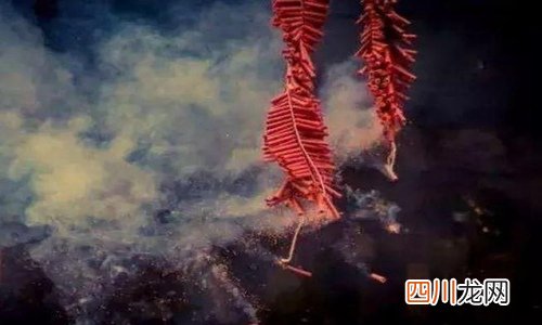 2022年除夕夜是几月几号？除夕夜鞭炮什么时候放