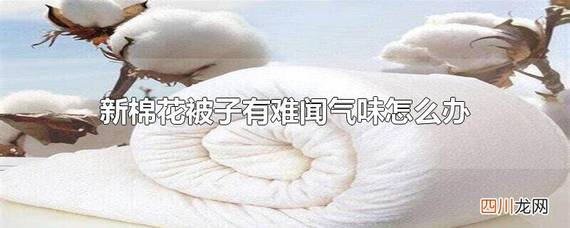 新棉花被子有难闻气味怎么办