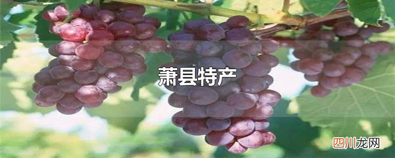 萧县特产