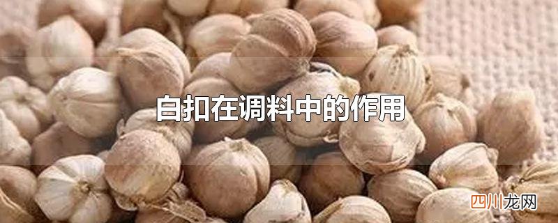 白扣在调料中的作用