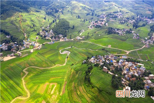 2022-2025数字乡村发展行动计划：主要部署了哪些内容？一文详解