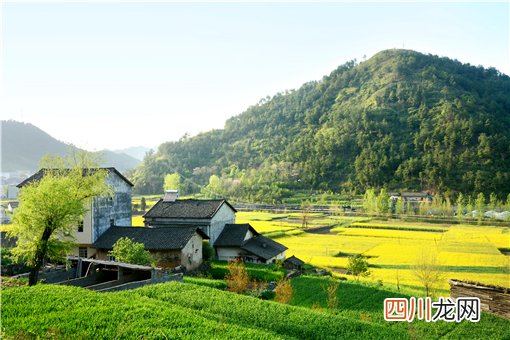 2022-2025数字乡村发展行动计划：主要部署了哪些内容？一文详解