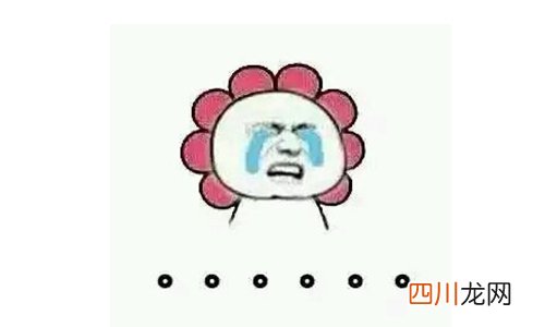 蚌埠住了什么梗怎么读 这些谐音梗你知道吗？