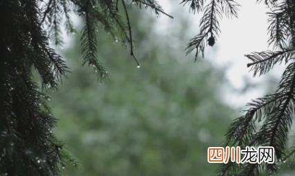 雨水可以存起来浇花吗