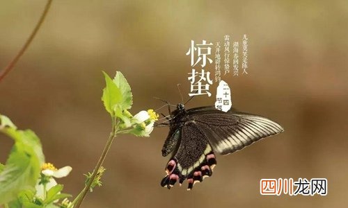 惊蛰是什么意思代表什么？惊蛰节气的特点和风俗