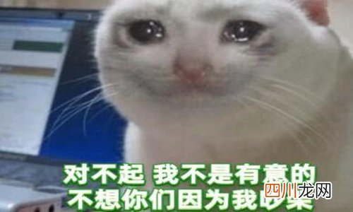 绿茶是指什么样的人?看一下绿茶撒娇语录就知道了