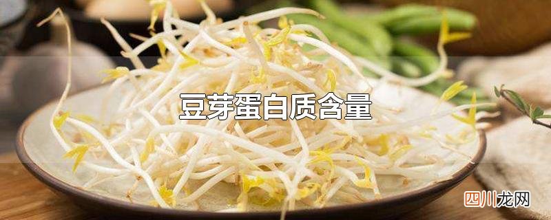 豆芽蛋白质含量