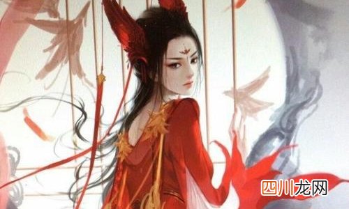推荐50本熬夜看完的小说 言情小说耽美小说应有尽有