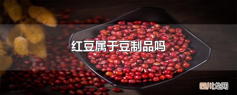 红豆属于豆制品吗