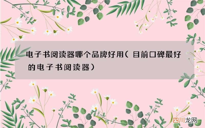 目前口碑最好的电子书阅读器 电子书阅读器哪个品牌好用