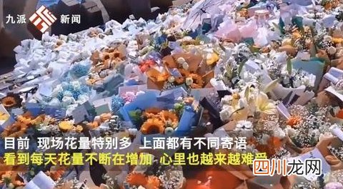 痛心!刘学州事发海边堆满鲜花和甜品 遗体火化亲生父母未到场